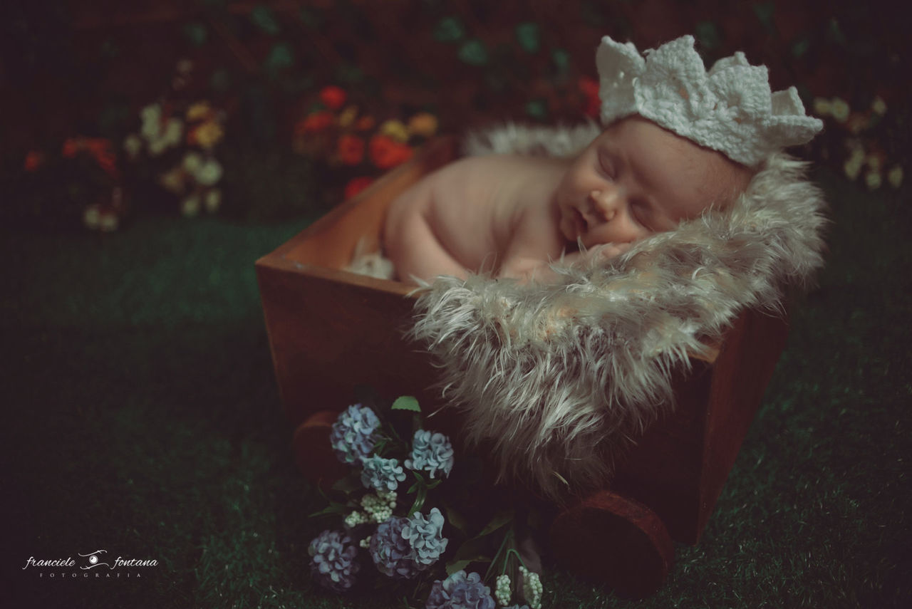 Capa do post Enzo | Newborn Capa do post Enzo | Newborn
