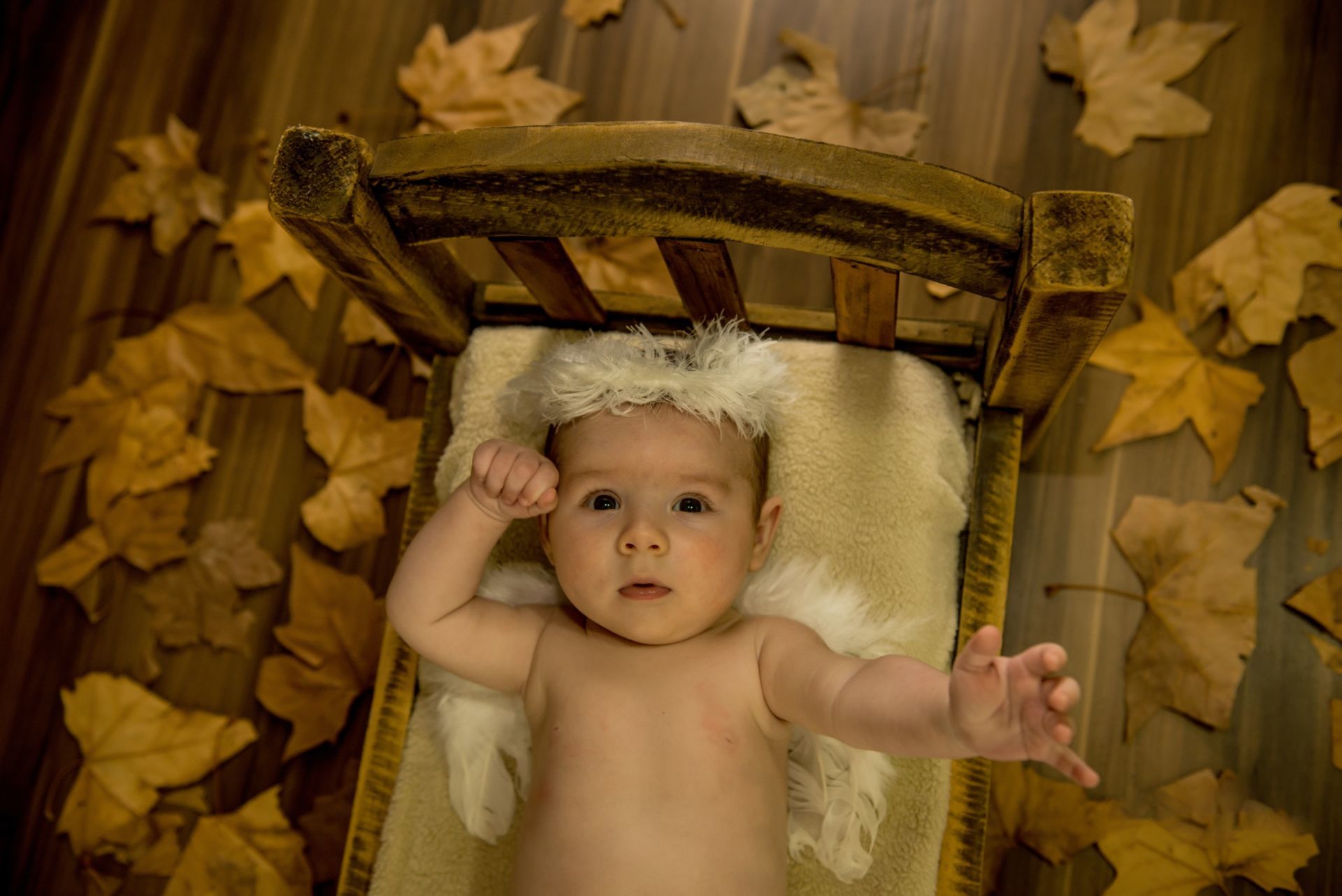 Foto FOTOS DE BEBÊ Foto FOTOS DE BEBÊ - Imagem 36